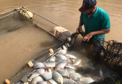piscicultor utilizando sua rede para prender os peixes dentro do rio