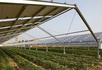 placas solares em cima da plantação