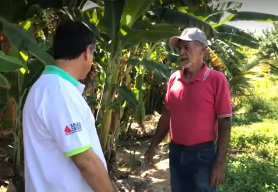 Produtor rural conversa com  extensionista da Emater-MG em frente a uma plantação de bananas
