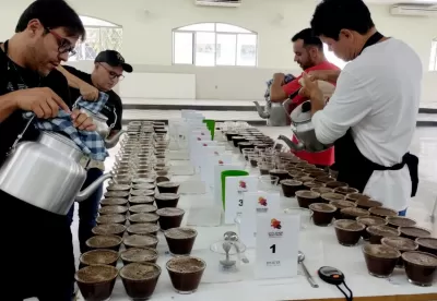 Imagem da seleção de cafés para o concurso