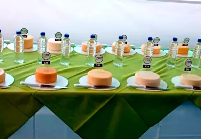 mesa exposta com diversos queijos