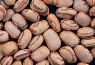 grãos de feijões por toda a imagem