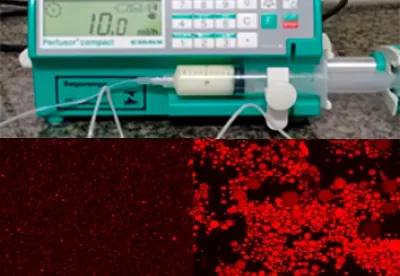 aparelho eletrônico e abaixo dele duas imagens feitas com zoom microscópico