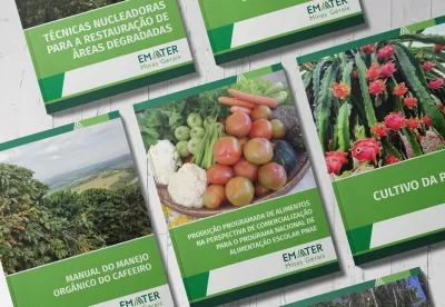 Imagem das cartilhas no site