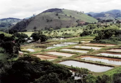 imagem de tanque de peixes