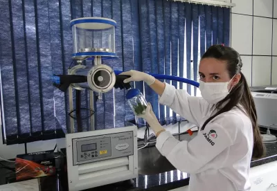 Imagem mostra pesquisadora da Epamig em laboratório