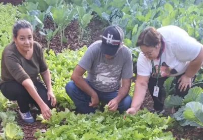 Foto de três pessoas trabalhando em uma horta.