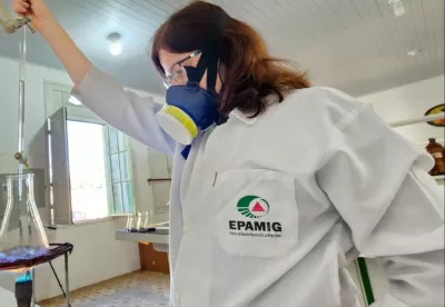 Imagem de uma servidora da Epamig realizando uma pesquisa