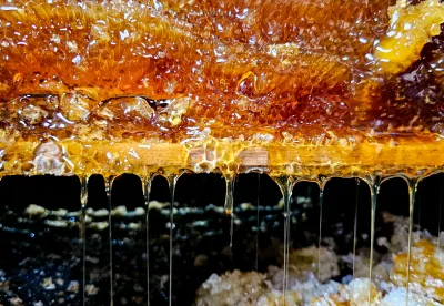 Crédiot diego Vargas