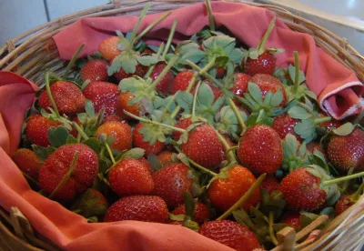 O funcionamento e as vantagens do sistema são destaques da publicação