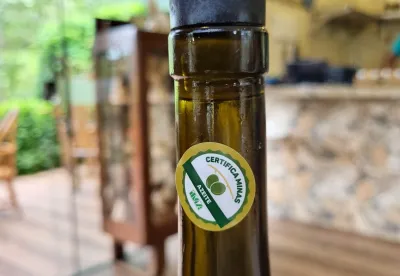 Azeite produzido em Maria da Fé tem a chancela do Certifica Minas
