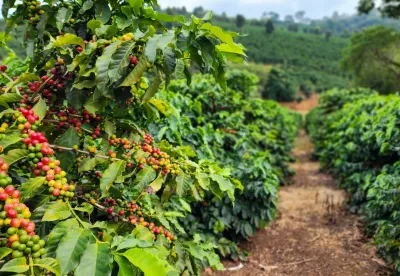 Crédito: Diego Vargas/Seapa MG