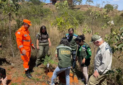 Plantio de árvores em comemoração ao Dia da Árvore e a Semana Florestal