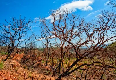 Governo de Minas intensifica ações de prevenção diante da possibilidade de atuação do El Niño no estado