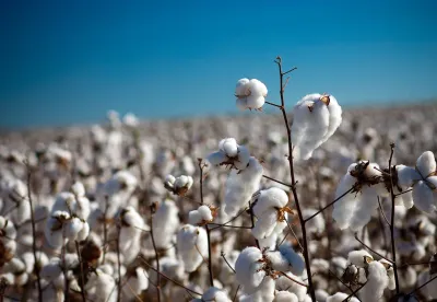 Crédito (foto): Divulgação/Seapa