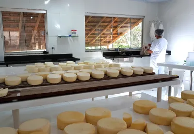 Bancada com vários queijos