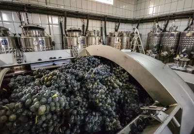 Maquinários para fabricação de vinhos