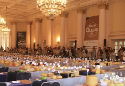 Foto mostra os queijos inscritos no Concurso da Expoqueijo