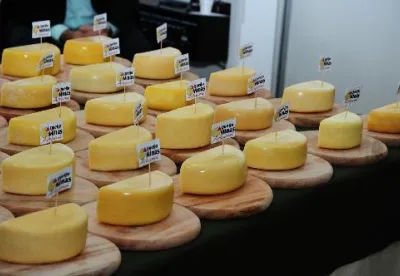 Imagem mostra uma mesa com alguns queijos variados, partidos ao meio