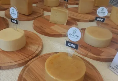 Foto mostra os queijos inscritos nos concursos de qualidade