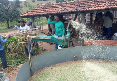 Produtores rurais trabalhando na produção de silagem
