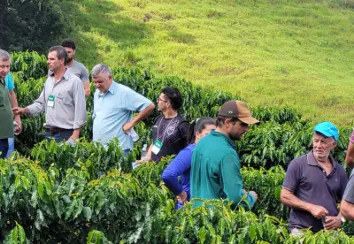 Divulgação/Epamig Sudeste