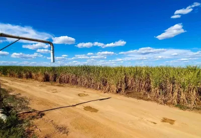 Crédito (foto): Diego Vargas/Seapa MG