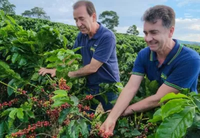 Irmãos Edinilson e Walter Dutra em plantação de café