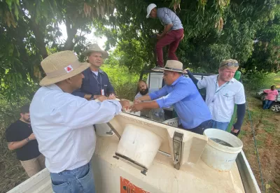 Distribuição de alevinos no Norte de Minas