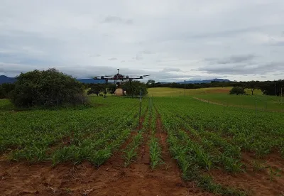 Foto mostra drone sobrevoando lavoura de algodão