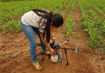 Crédito (foto): Márcia França/Seapa MG