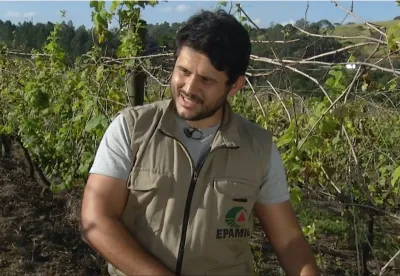 Crédito: Divulgação/Epamig