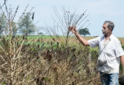 Crédito: Cristiano Machado/Imprensa MG
