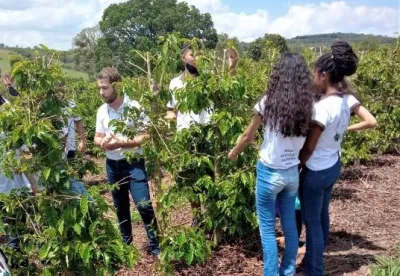 Foto: Divulgação/Emater-MG