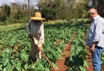 Extensionista orienta produtor que trabalha com enxada em uma horta