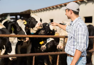 Imagem de produtor com seu rebanho