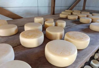 Crédito: Divulgação/Seapa