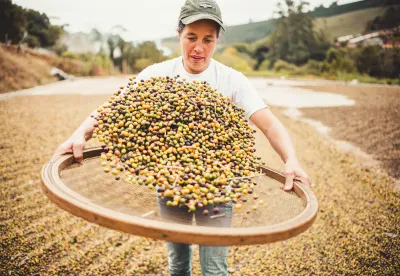 Mulher peneirando café