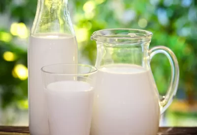 Foto mostra o leite em garrafas de diferentes tamanhos