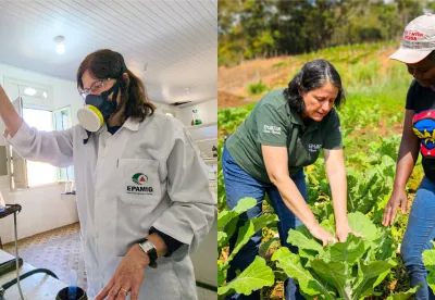 Profissionais da Epamig e Emater em campo
