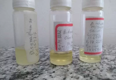 Três frascos com amostras científicas