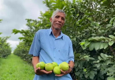 Crédito (foto): Divulgação/Emater-MG