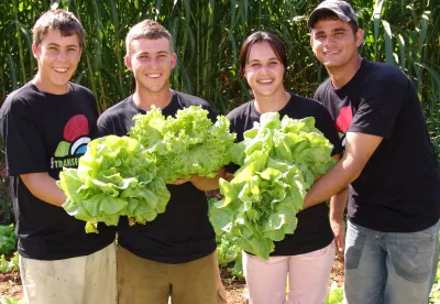 Quatro jovens rurais de Itaguara sorrindo com alface nas mãos