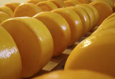 Queijo Minas Artesanal