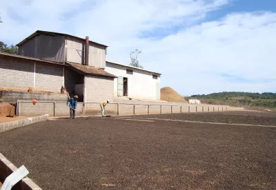 Foto mostra terreiro de secagem de café