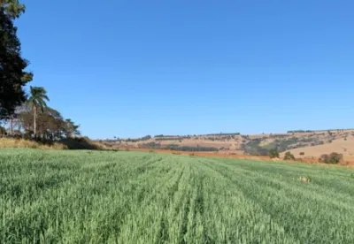 Crédito: Divulgação/Epamig