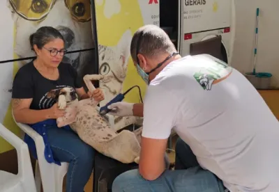 Projeto de Manejo Populacional Ético de Animais Domésticos