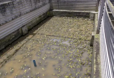 Imagem: André Muniz Afonso