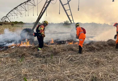 Ação é voltada para proteger a cultura agrícola, a pecuária e o cultivo de florestas dos incêndios
