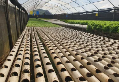 Estufa hidropônica em Brumadinho